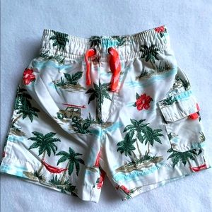 Palm Tree swim set